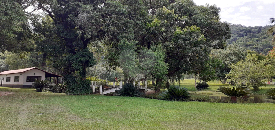 Foto REO1115273