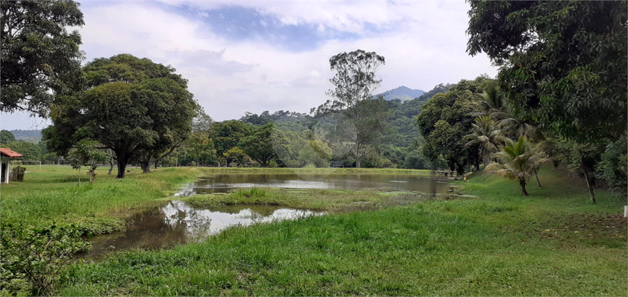 Foto REO1115273