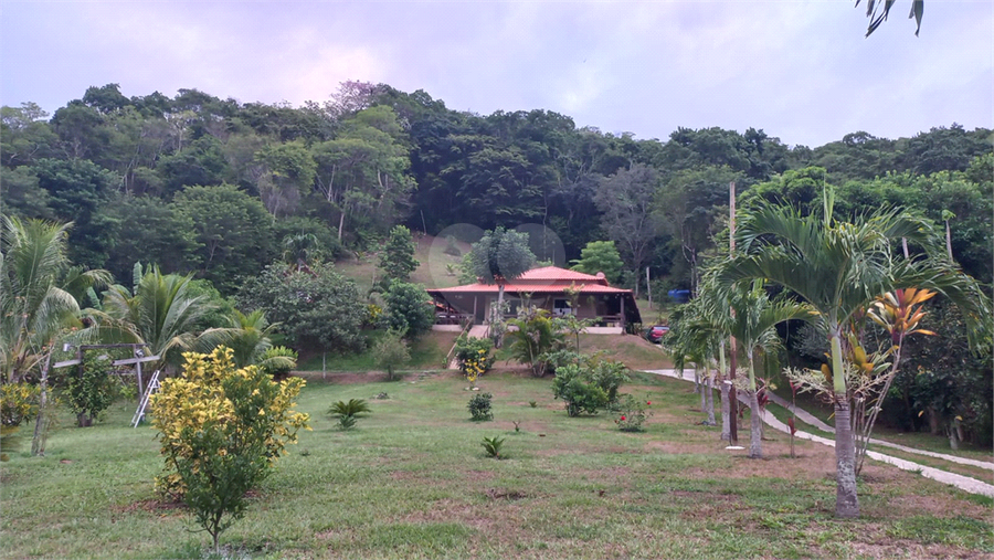 Foto REO1115273