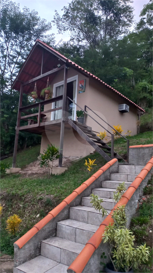 Foto REO1115273