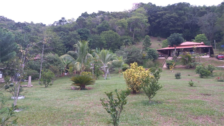 Foto REO1115273