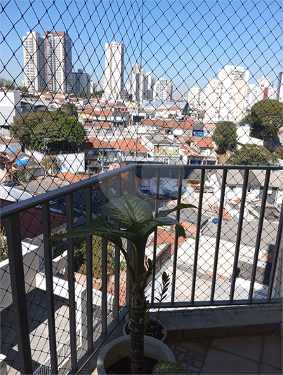 Foto REO1115275