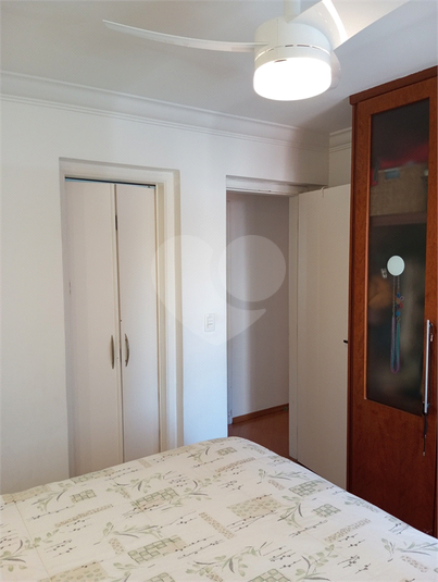 Foto REO1115275