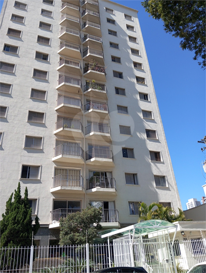 Foto REO1115275
