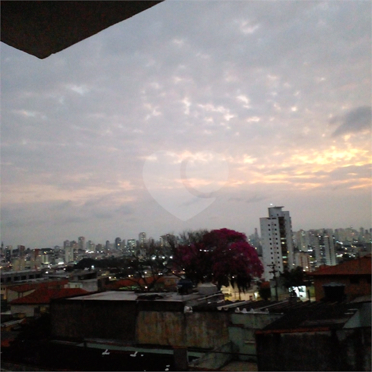 Foto REO1115282