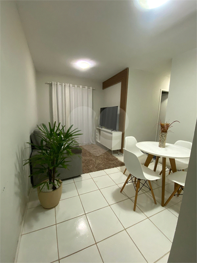 Foto REO1115284