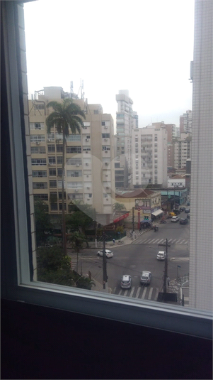 Foto REO1115292