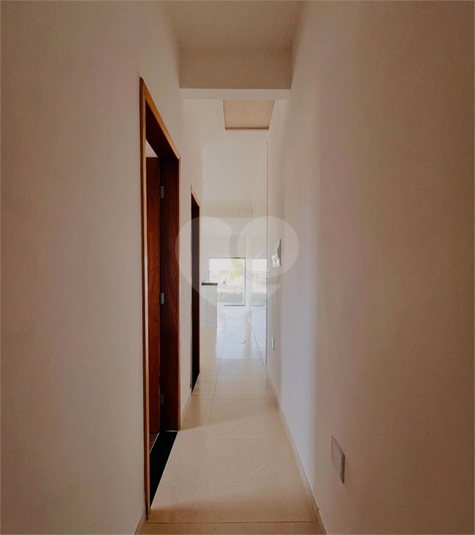 Foto REO1115299
