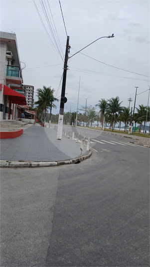 Foto REO1115304