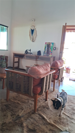 Foto REO1115307