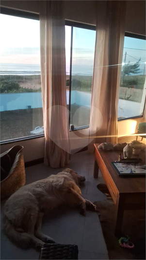 Foto REO1115307