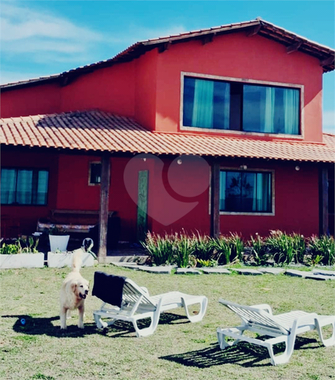 Foto REO1115307