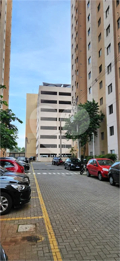 Foto REO1115319