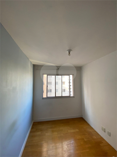 Foto REO1115319