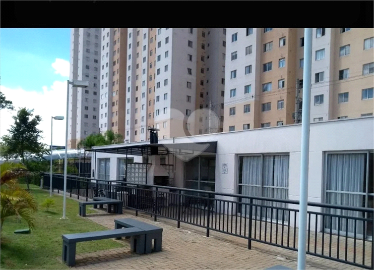 Foto REO1115319