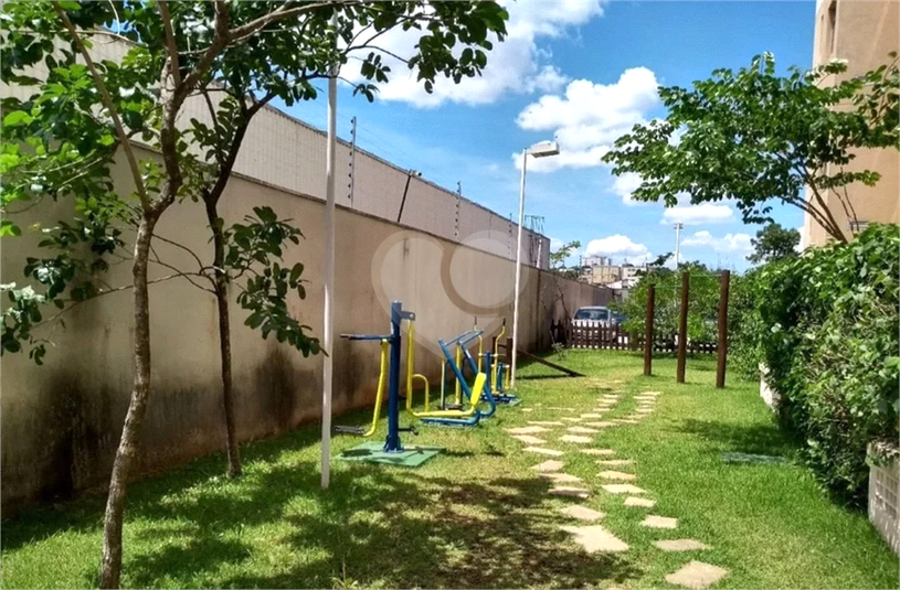 Foto REO1115319