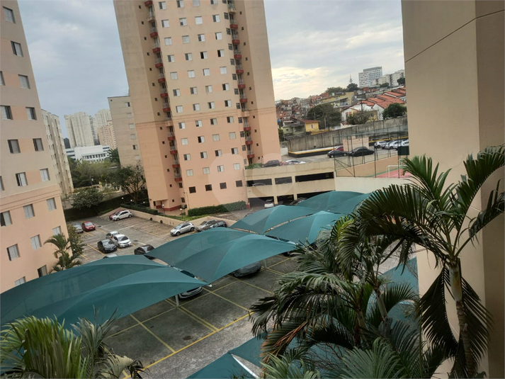 Foto REO1115329