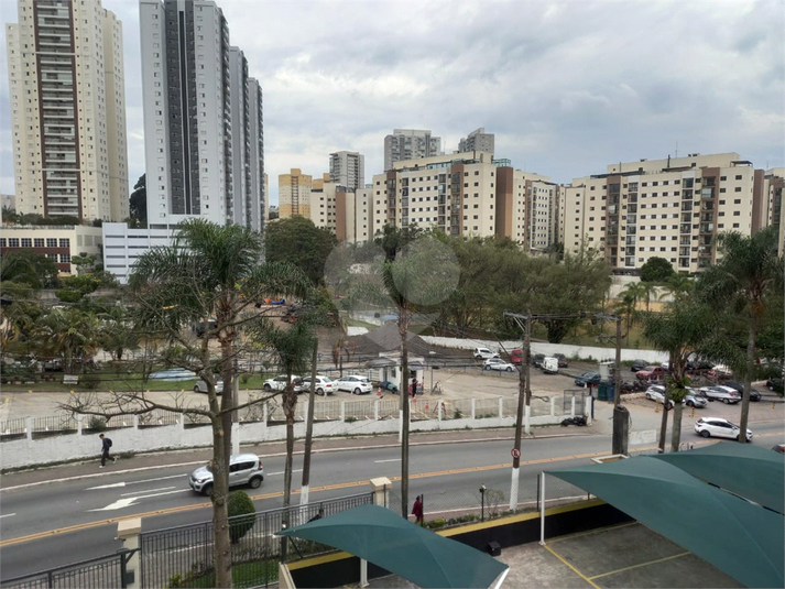 Foto REO1115329