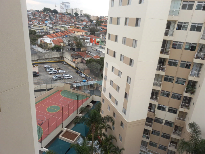 Foto REO1115329