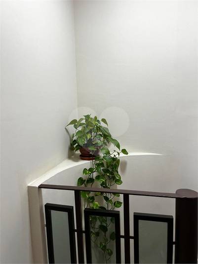 Foto REO1115342