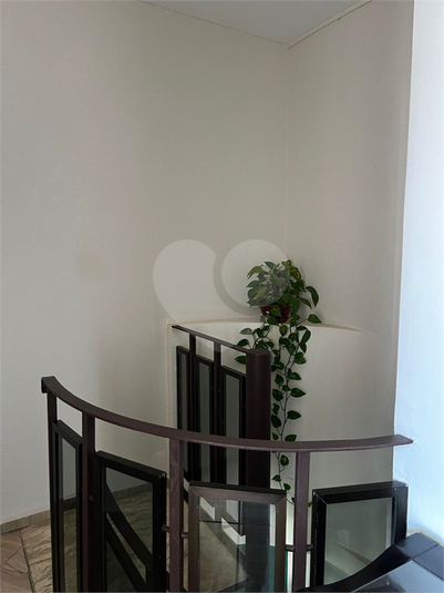 Foto REO1115342