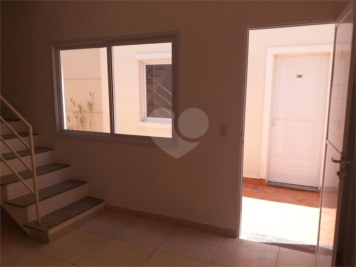 Foto REO1115351