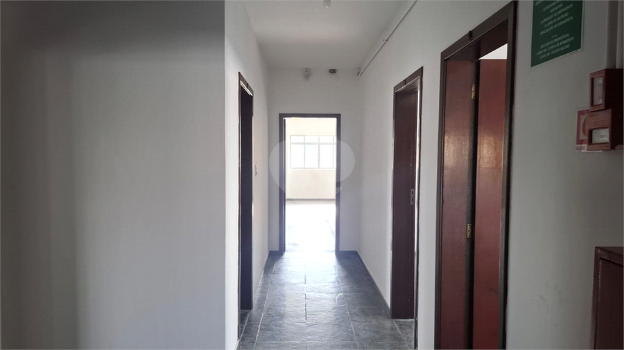 Foto REO1115360