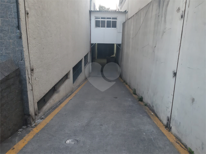 Foto REO1115360