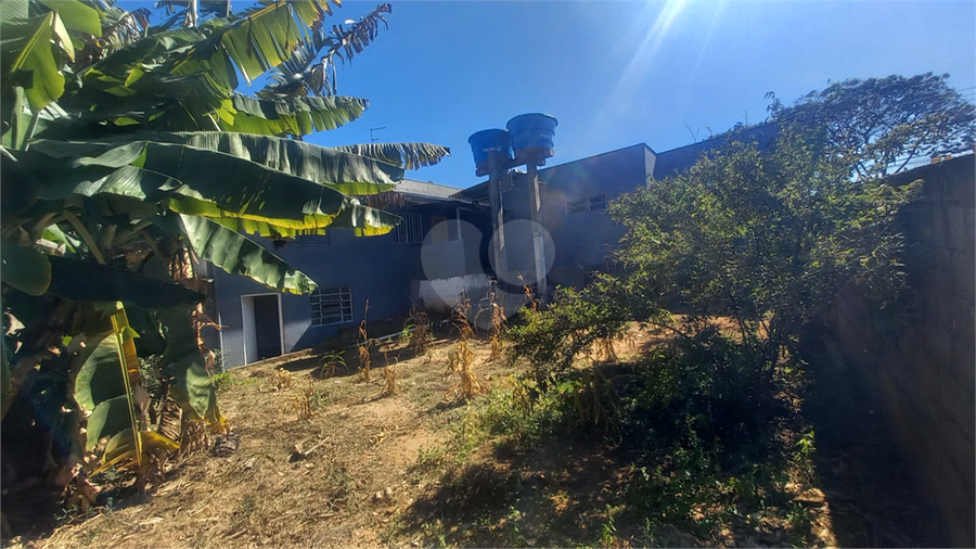 Foto REO1115364