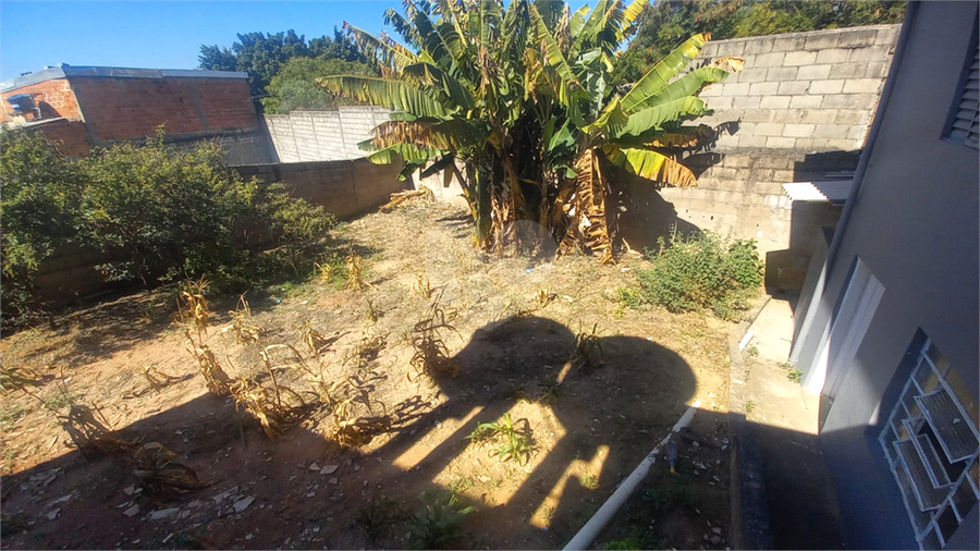 Foto REO1115364
