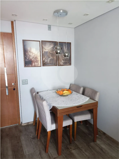 Foto REO1115366