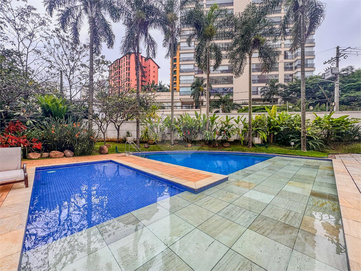 Foto REO1115375