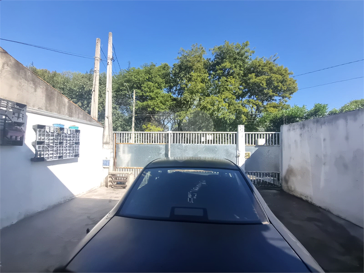 Foto REO1115394