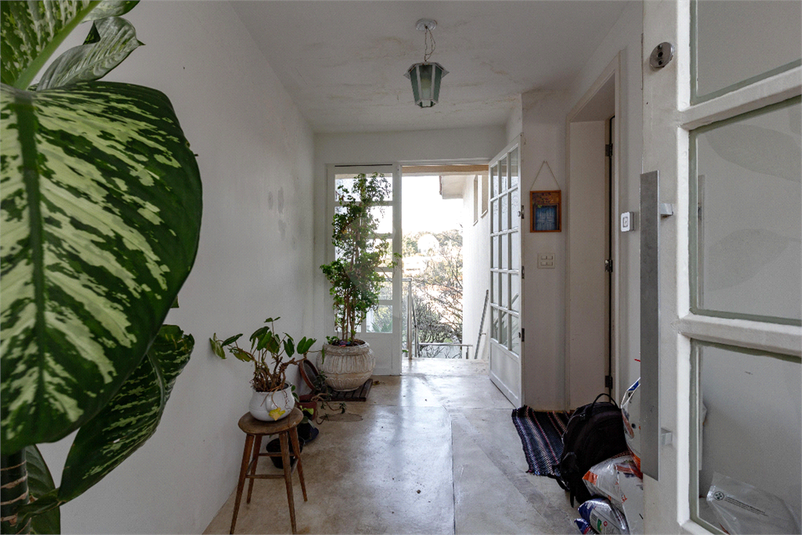 Foto REO1115395