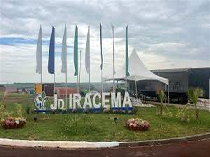 Foto REO1115411