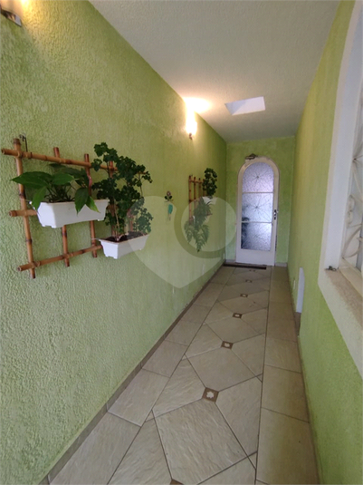 Foto REO1115415