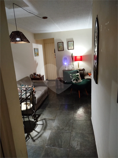 Foto REO1115426