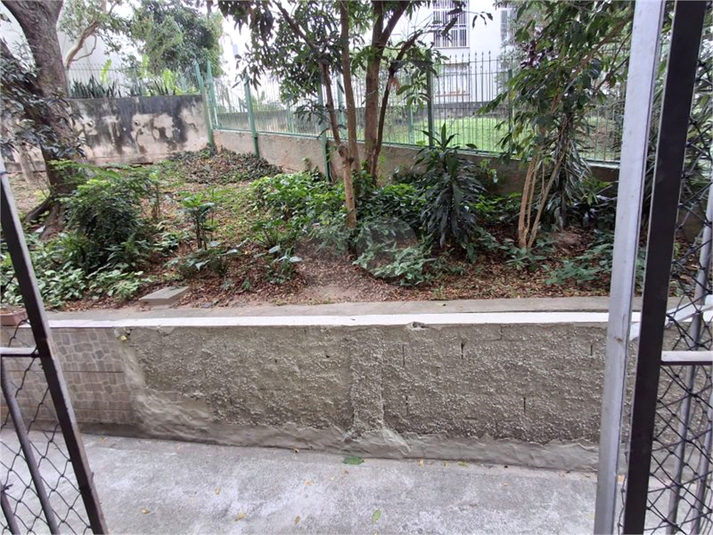 Foto REO1115432