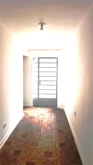 Foto REO1115433