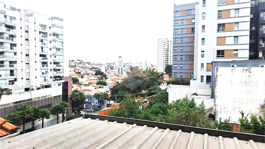 Foto REO1115433