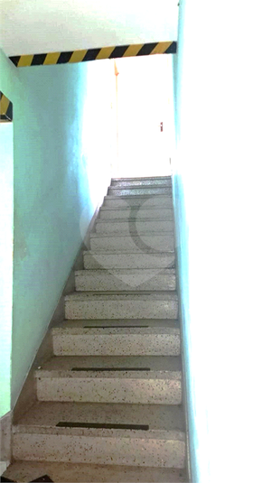 Foto REO1115433
