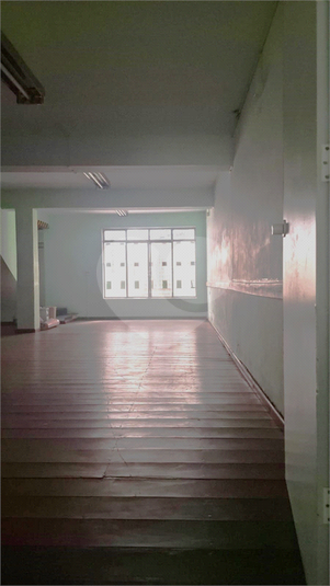 Foto REO1115433