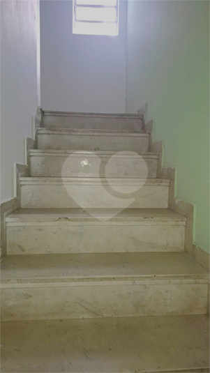 Foto REO1115433