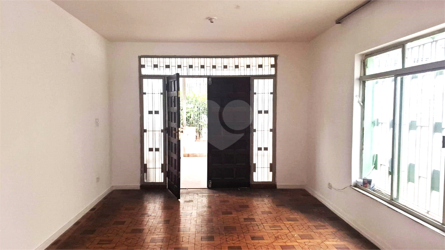 Foto REO1115433