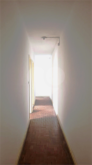 Foto REO1115433