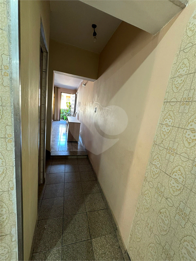 Foto REO1115435