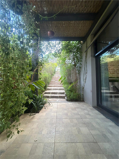 Foto REO1115439