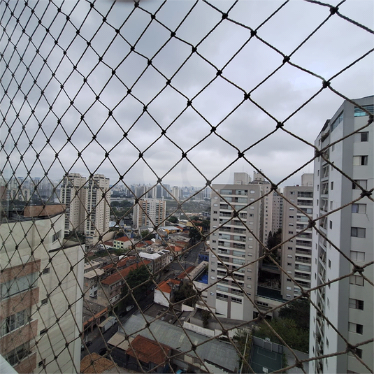 Foto REO1115443