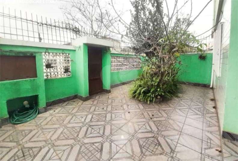 Foto REO1115482