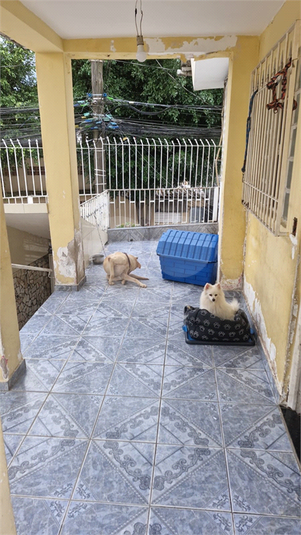 Foto REO1115486